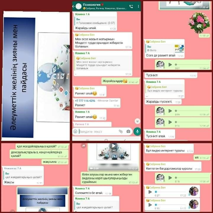 "Интернеттің пайдасы мен зияны" сауалнама